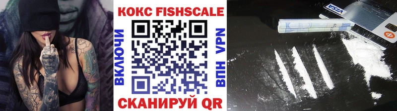 КОКАИН FishScale  купить наркотики цена  Шилка 