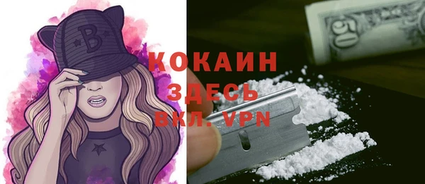 гидра Новокубанск