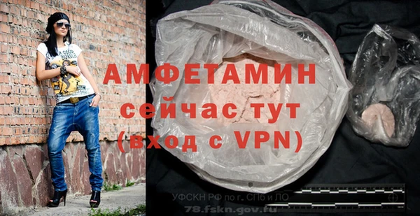 амф Новозыбков