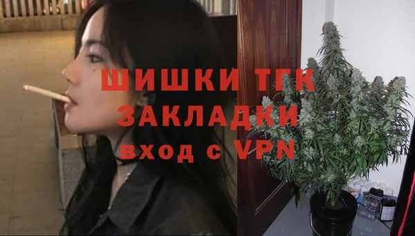 амф Новозыбков