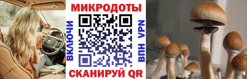 Псилоцибиновые грибы Magic Shrooms Шилка